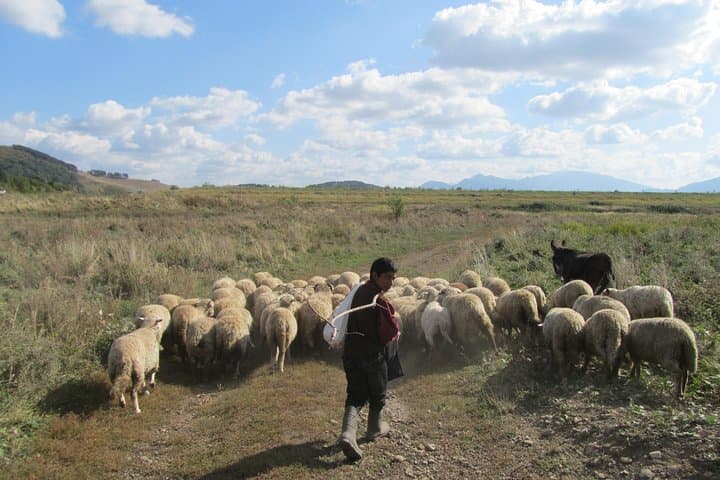 Bucegi Traverse: Hike from Sinaia to Bran via Omu Peak and the Sphinx photo 3