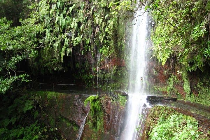 King's Levada (Levada do Rei) — Ribeiro Bonito Day Hike in Madeira