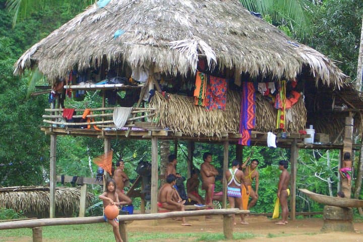 Embera Village Day Trip on the Chagres River: Canoes, Waterfall Swim & Cultural Immersion photo 2