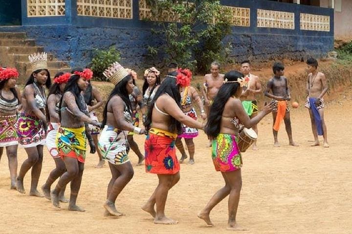 Embera Village Day Trip on the Chagres River: Canoes, Waterfall Swim & Cultural Immersion photo 3