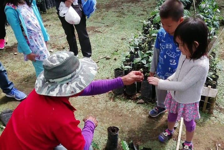 A Taste of Aquiares: 2-Hour Coffee & Community Tour photo 3