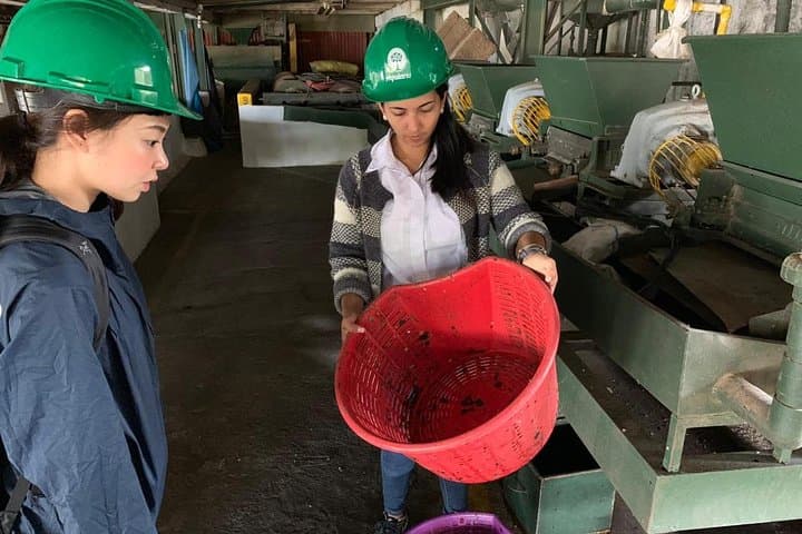 A Taste of Aquiares: 2-Hour Coffee & Community Tour photo 4