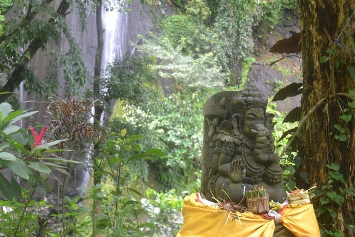 North Bali Adventure Tour: Rice Paddy Treks, Secret Waterfalls & Sleeping Buddha photo 3
