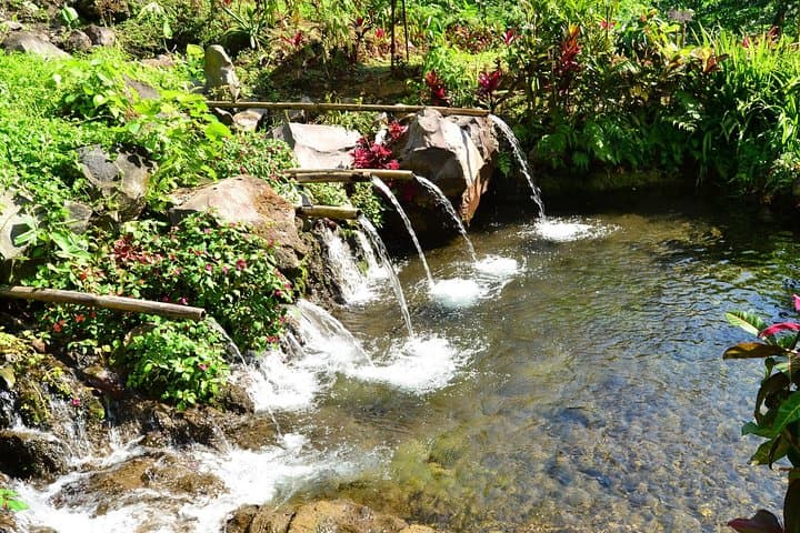 North Bali Adventure Tour: Rice Paddy Treks, Secret Waterfalls & Sleeping Buddha