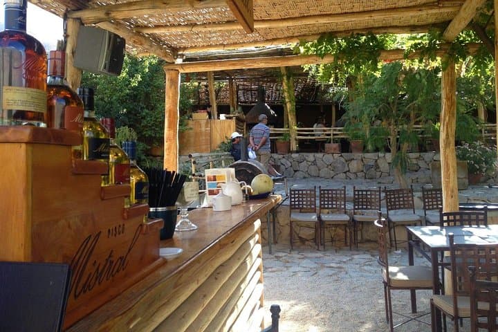 Elqui Valley Day Tour from La Serena: Pisco Tasting & Vicuña Highlights photo 3