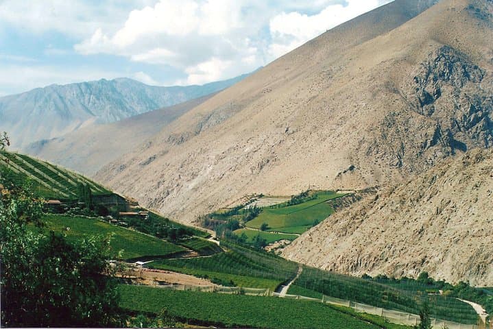 Elqui Valley Day Tour from La Serena: Pisco Tasting & Vicuña Highlights photo 4