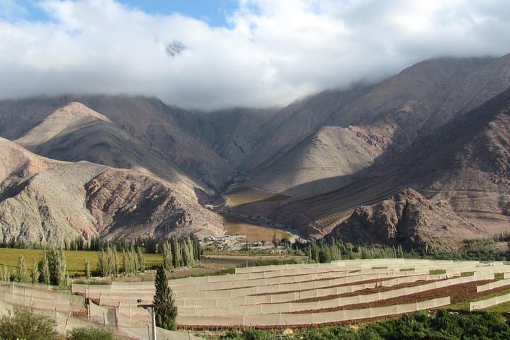 Elqui Valley Day Tour from La Serena: Pisco Tasting & Vicuña Highlights photo 6