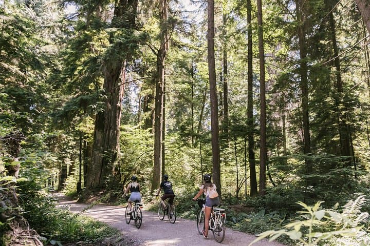 Stanley Park Bicycle Tour: Seawall, Totems & Temperate Rainforest Ride photo 2