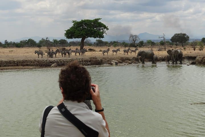 3-Day Mikumi National Park Safari: Game Drives, Wildlife & Park Accommodation photo 4