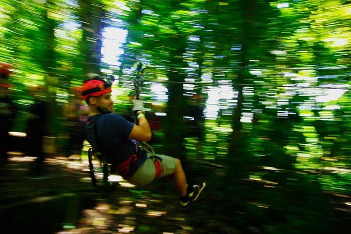 Monteverde Private Zipline and Rappelling Adventure — Canopy Tour with Tarzan Swing photo 5