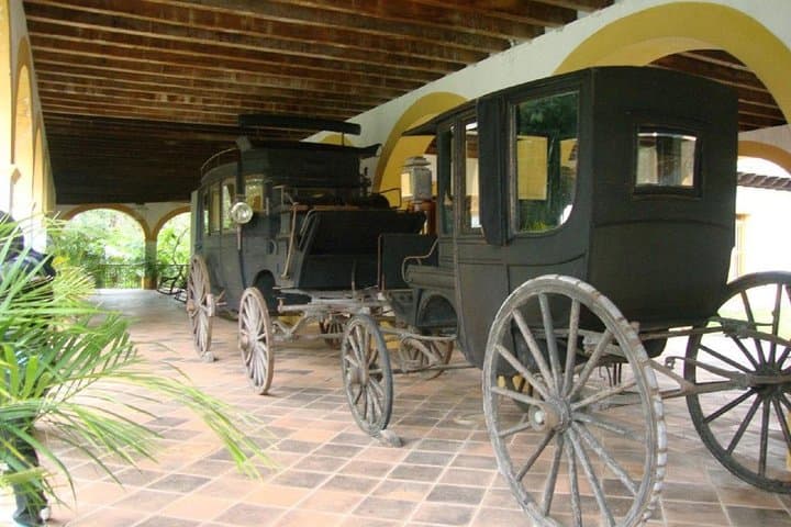 Coatepec & Xico Day Trip from Veracruz: Coffee Plantations, Texolo Waterfall & Xalapa Museum photo 2