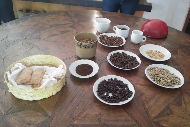 Coatepec & Xico Day Trip from Veracruz: Coffee Plantations, Texolo Waterfall & Xalapa Museum photo 4