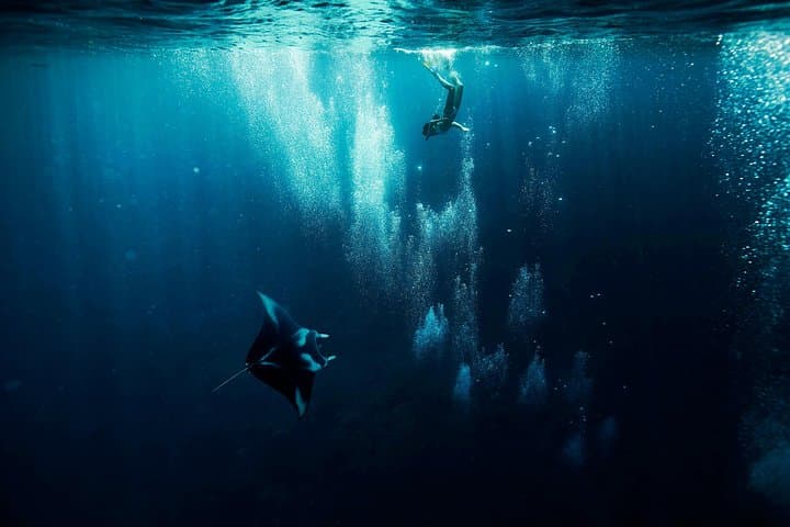 Bora Bora Lagoon Snorkel: Half-Day Reef Discovery with Manta & Eagle Rays