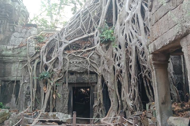 Angkor Jeep Tour: Angkor Wat, Angkor Thom & Ta Phrom by Vintage Jeep photo 2