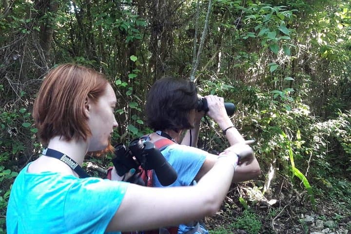 Riviera Maya Bird-Watching Eco Tour from Cancún — 6-Hour Guided Wildlife Walk photo 3