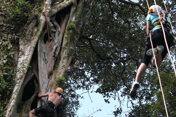 Tree Top Climbing Monteverde: Scale a 131-Foot Ficus in the Cloud Forest photo 6