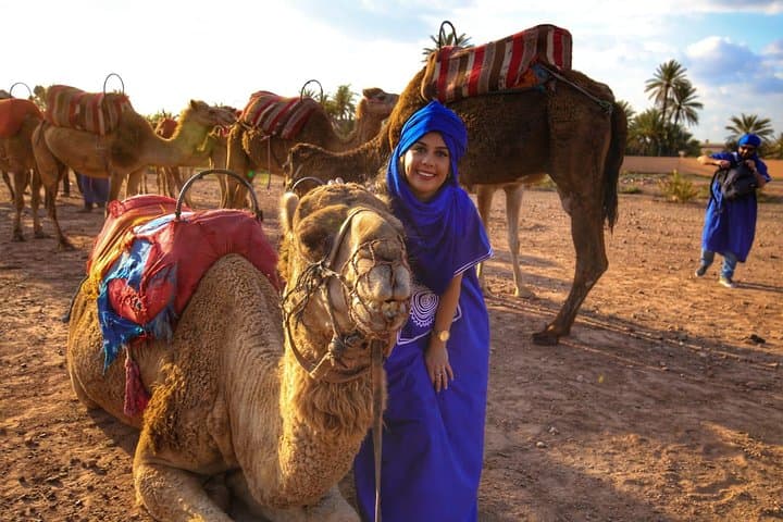 Sunset Camel Ride in Marrakeh Palm Grove with Tea Break photo 3
