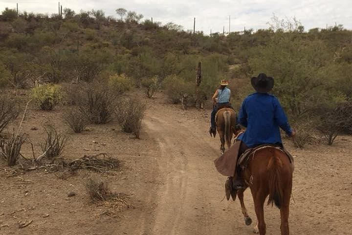Loreto Sunset Horseback Ride — Playa La Negrita & Arroyo Hills Tour