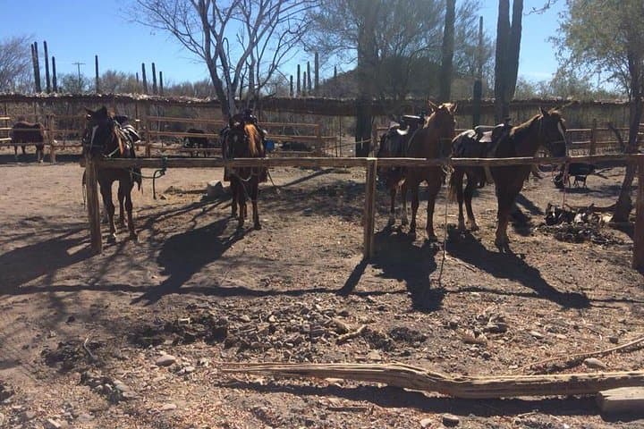 Loreto Sunset Horseback Ride — Playa La Negrita & Arroyo Hills Tour photo 2