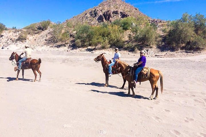 Loreto Sunset Horseback Ride — Playa La Negrita & Arroyo Hills Tour photo 5