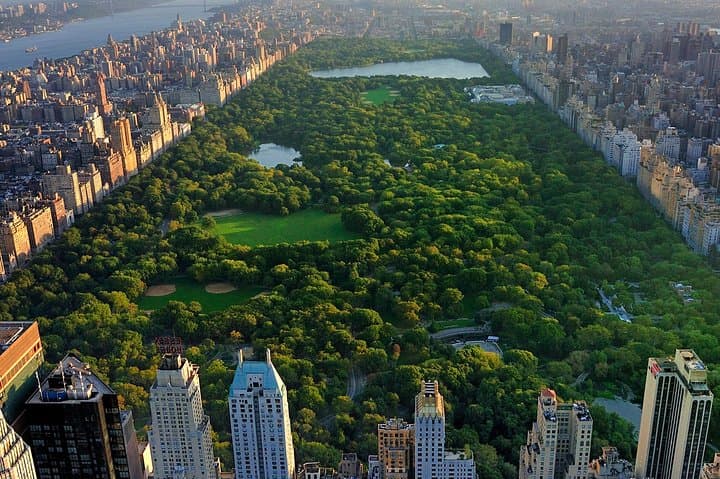 Central Park Classic 1-Hour Pedicab Tour: Scenic Hop-On Experience
