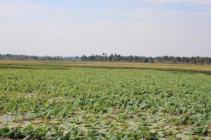 Phnom Penh to Siem Reap: Three-Day Backroad Cycling Along Tonle Sap photo 4