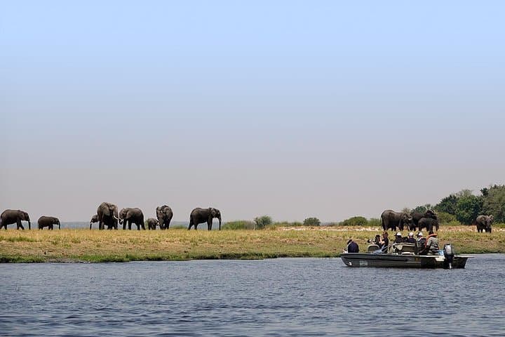 9-Day Zimbabwe Safari with Chobe Day Trip to Botswana — Hwange, Victoria Falls & More photo 5