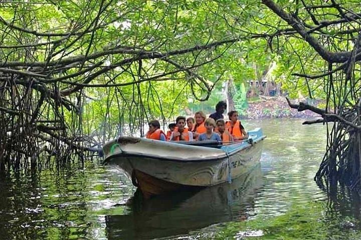Negombo Lagoon Day Trip — Mangroves, Fish Market & Catamaran Picnic photo 5