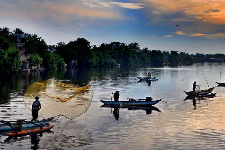 Negombo Lagoon Day Trip — Mangroves, Fish Market & Catamaran Picnic