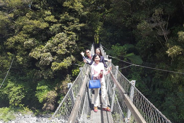 Martinborough Wine & Wild Coast Tour from Wellington — Cape Palliser, Putangirua & Seals photo 4
