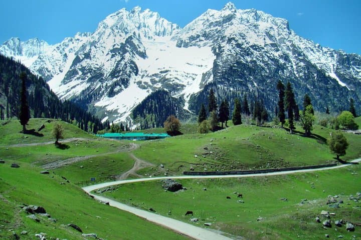 Luxury 7-Day Kashmir Itinerary: Srinagar, Gulmarg & Pahalgam with Dinner