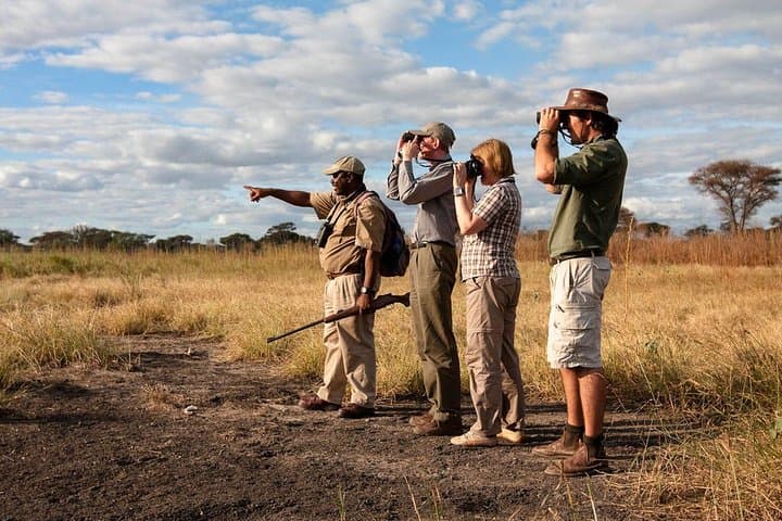 Mikumi Walking Safari and Game Drive from Morogoro: A Day Among Elephants and Plains