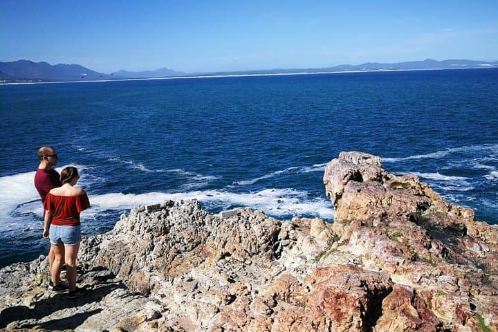 5-Day Garden Route & Addo Elephant National Park Tour from Cape Town photo 2