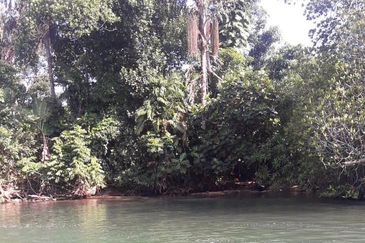 Galle Fort, Madu River & Kosgoda Turtle Hatchery — Private Day Tour from Colombo photo 3