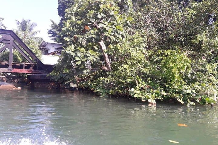 Galle Fort, Madu River & Kosgoda Turtle Hatchery — Private Day Tour from Colombo photo 4