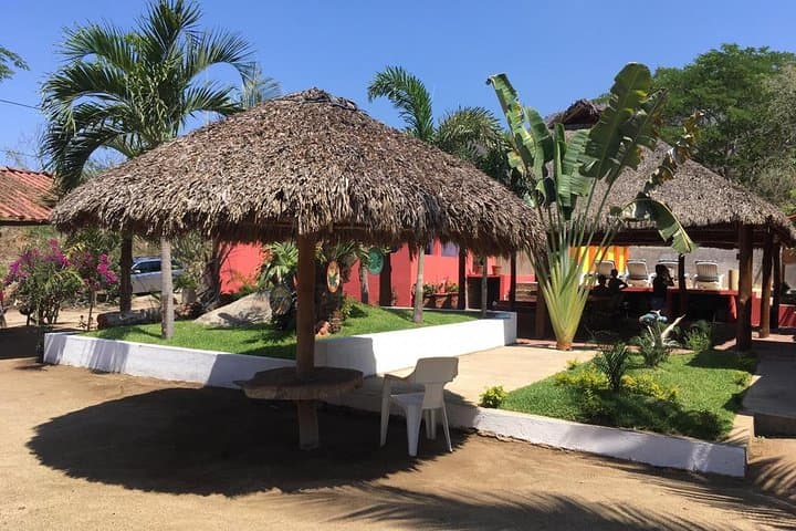 Half-Day Manzanillo City Tour: Beaches, Markets & Iguanas photo 4
