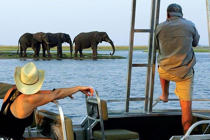 Chobe Camping Safari From Victoria Falls: 3-Day Bush & River Experience photo 4