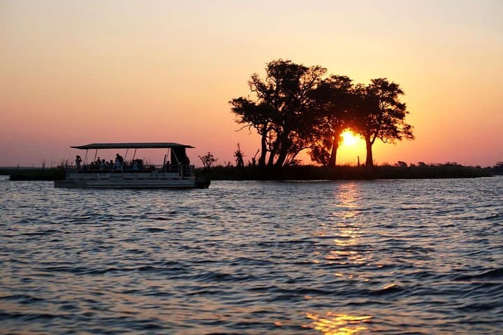 Chobe Camping Safari From Victoria Falls: 3-Day Bush & River Experience photo 3