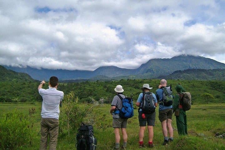 Arusha National Park Day Tour — Momela Lakes, Ngurdoto Crater & Mt. Meru Slopes