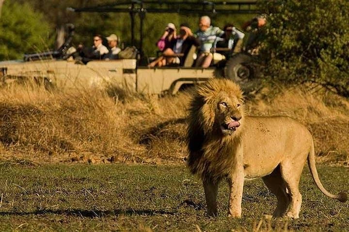 9-Day Zimbabwe Safari & Chobe Day Trip — Harare to Victoria Falls Adventure photo 4