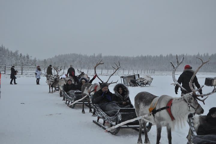 Four-Day Lapland Group Adventure: Husky Safaris, Snowmobiles & Arctic Circle