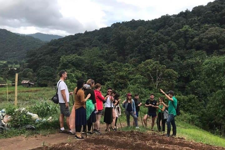 Doi Inthanon Day Trip: Twin Pagodas, Waterfalls & Karen Village Soft Hike photo 5