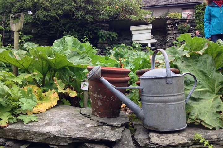 Beatrix Potter's Lake District Half-Day: Windermere Cruise & Hill Top Visit photo 5