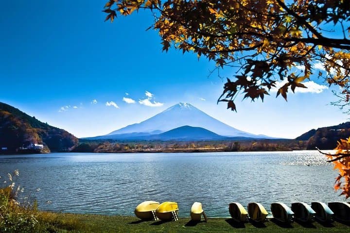 Private Fuji & Hakone Day Trip from Tokyo with English-Speaking Driver