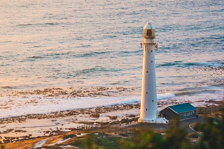 Cape Peninsula Picturesque Tour — Boat to Duiker Island, Cape Point & Boulders Beach Penguins photo 3