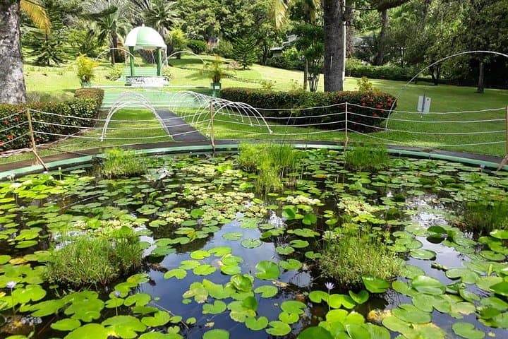 Kingstown Private Half-Day Tour and Villa Beach Visit photo 2