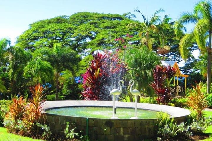 St Kitts Island Tour: Brimstone Hill, Romney Manor & Black Rocks Day Excursion photo 3