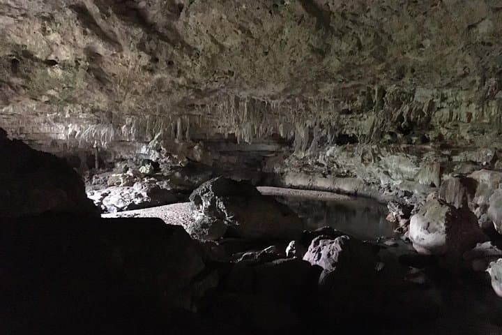 Caracol Archaeological Tour from San Ignacio: Full-Day Small-Group Adventure photo 2