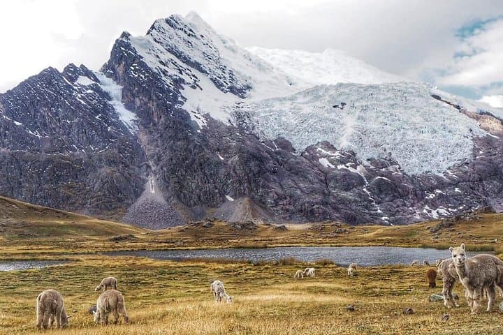 Ausangate 5-Day Trek: High Passes, Glacial Lagoons & Pacchanta Hot Springs photo 4