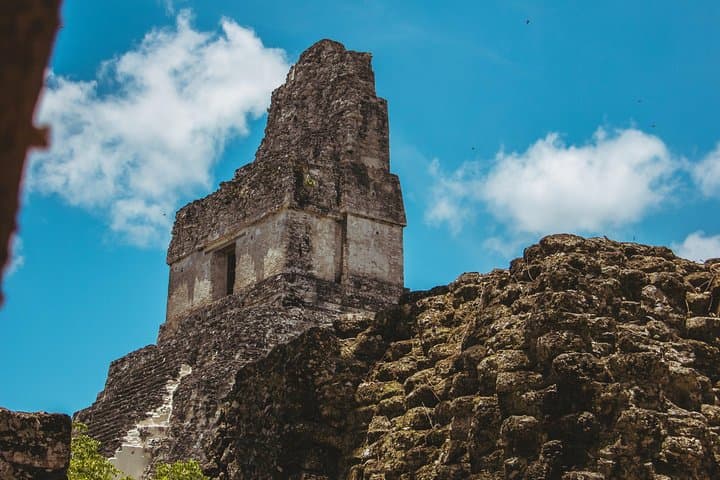 Tikal Birdwatching and Archaeological Tour — Jungle Birds and Ancient Temples photo 6
